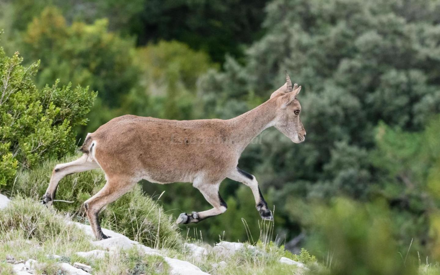 Casa Rural Parc Natural Dels Ports Alfara de Carles المظهر الخارجي الصورة